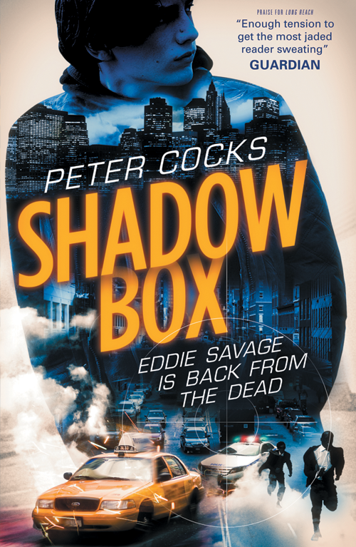 Shadow Box (2016) by Peter Cocks