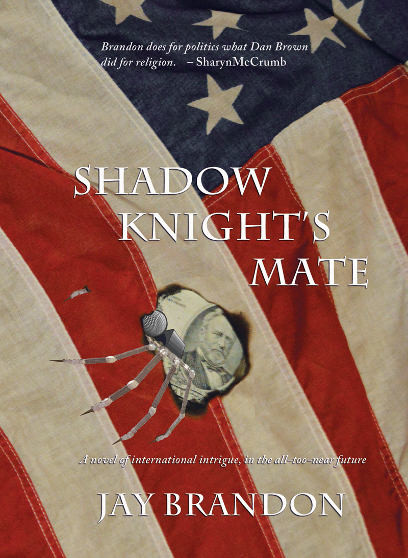 Shadow Knight's Mate (2014) by Jay Brandon