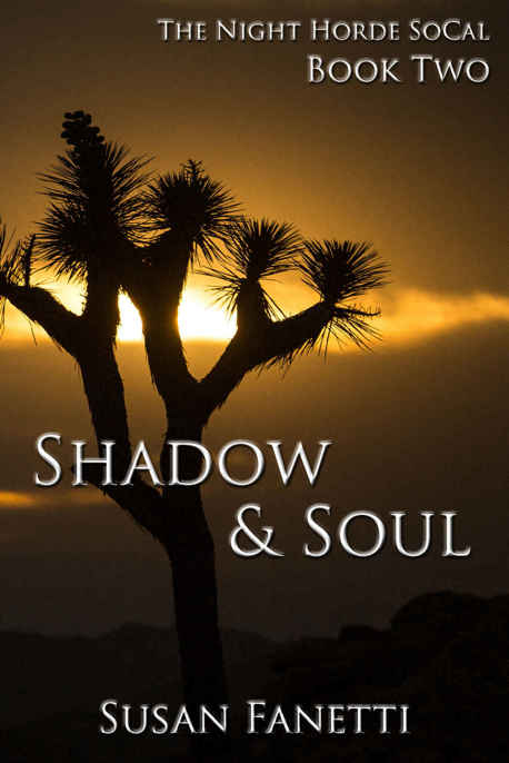 Shadow & Soul