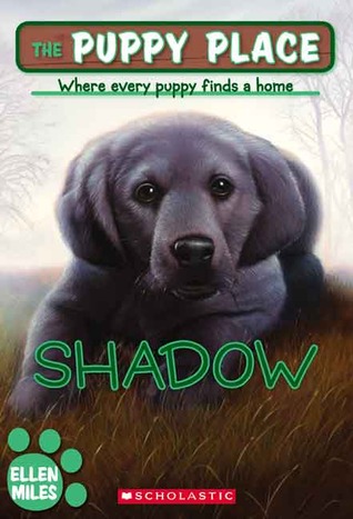 Shadow (2007)