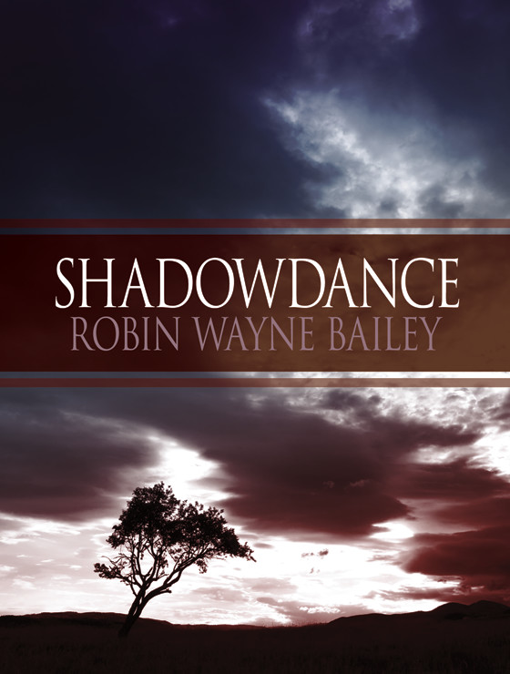 Shadowdance by Robin W Bailey