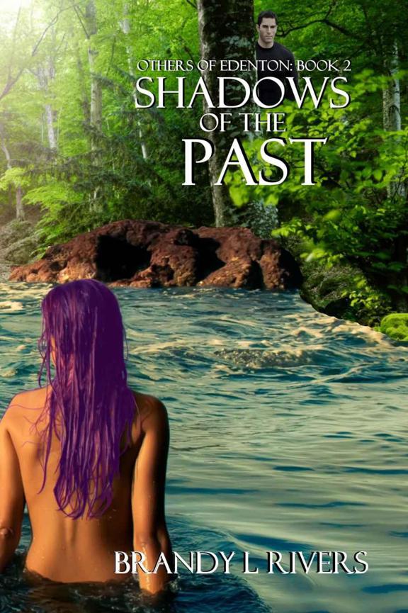 Shadows of the Past by Brandy L Rivers