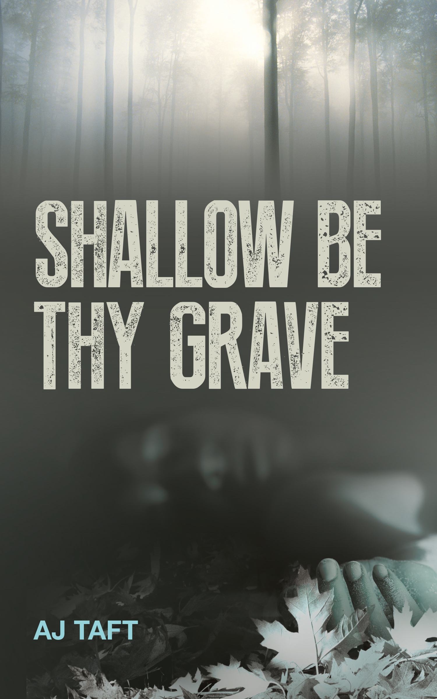 Shallow Be Thy Grave (2013) by A. J. Taft