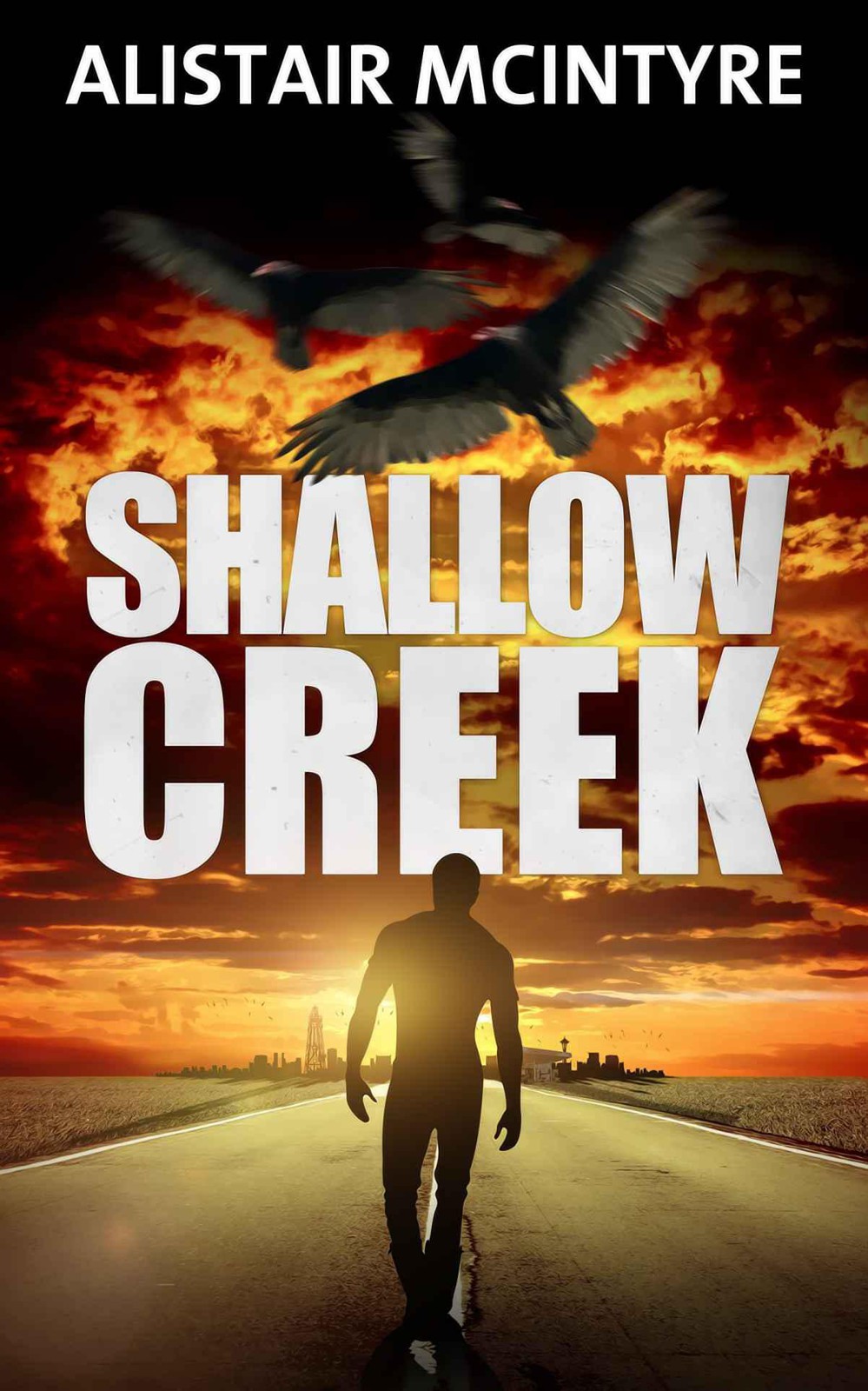 Shallow Creek by Alistair McIntyre