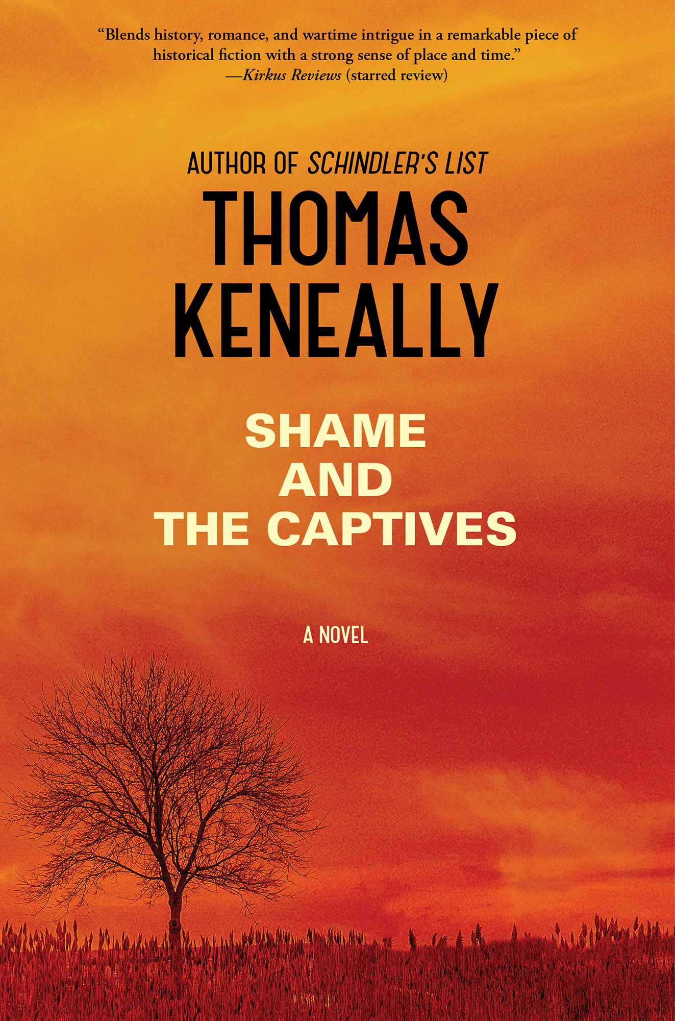 Shame and the Captives