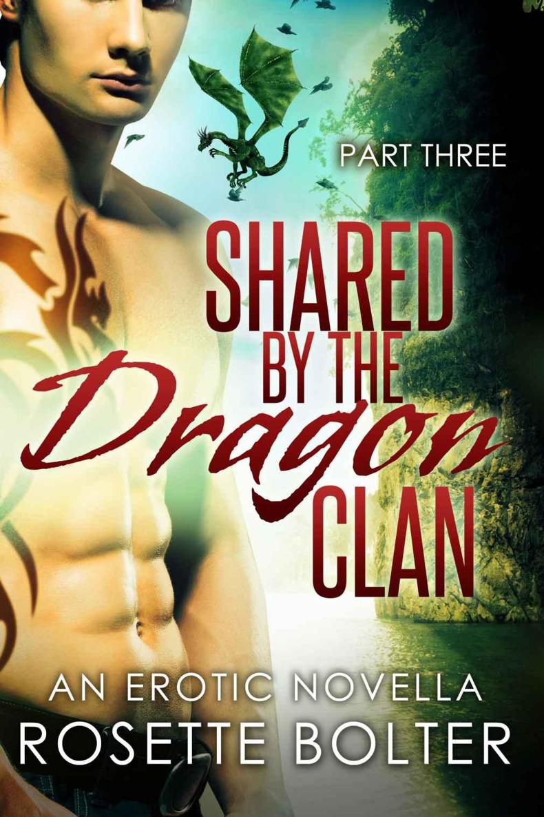 Shared By The Dragon Clan: Part Three by Rosette Bolter