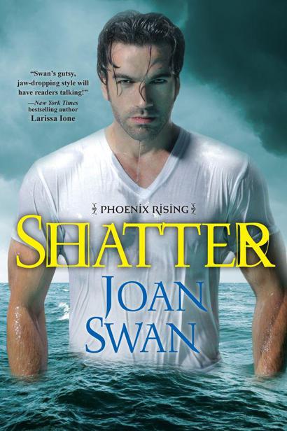 Shatter by Joan  Swan