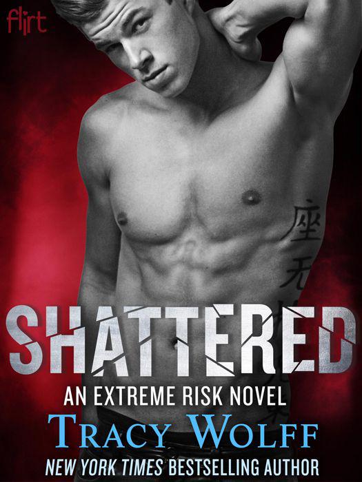 Shattered: An Extreme Risk Novel