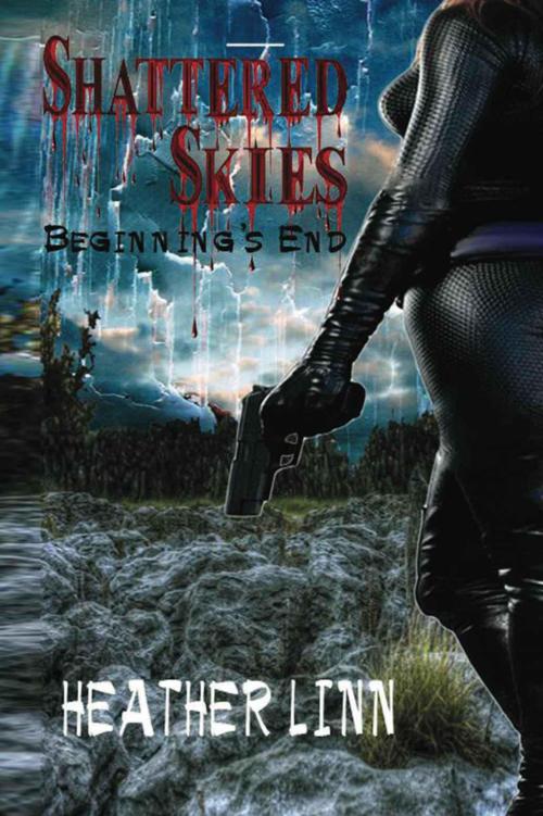 Shattered Skies: Beginning's End