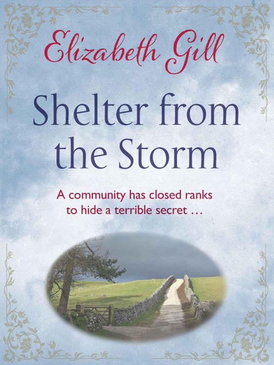 Shelter from the Storm by Gill, Elizabeth