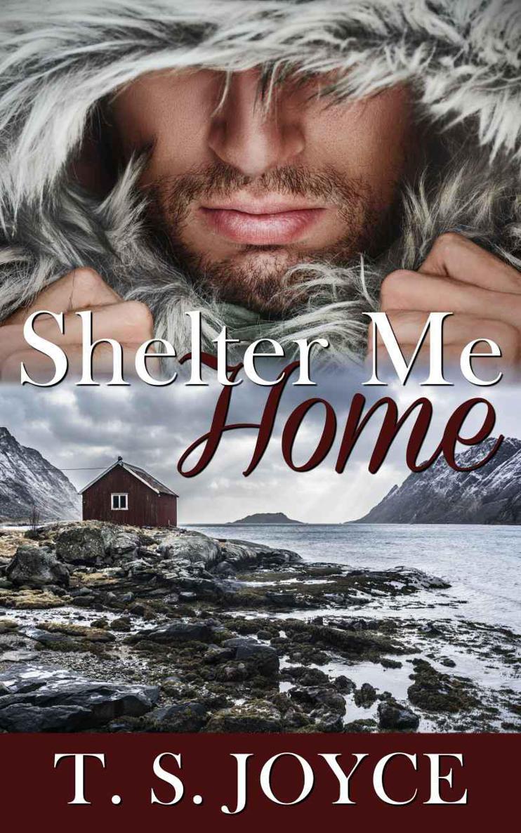 Shelter Me Home by T. S. Joyce