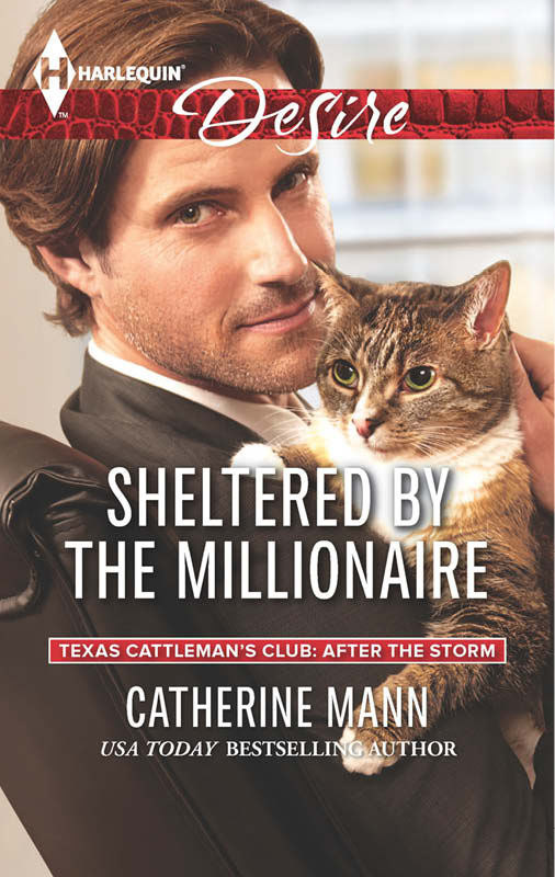 Sheltered by the Millionaire by Catherine Mann