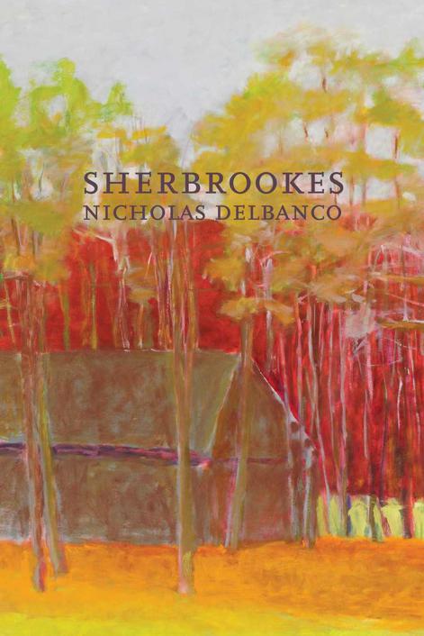 Sherbrookes: Possession / Sherbrookes / Stillness (American Literature Series) by Delbanco, Nicholas