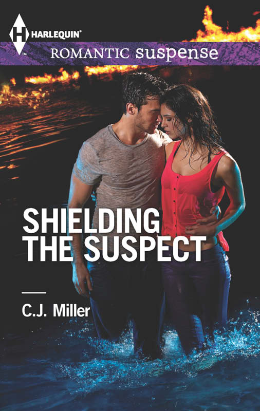 Shielding the Suspect (2013)