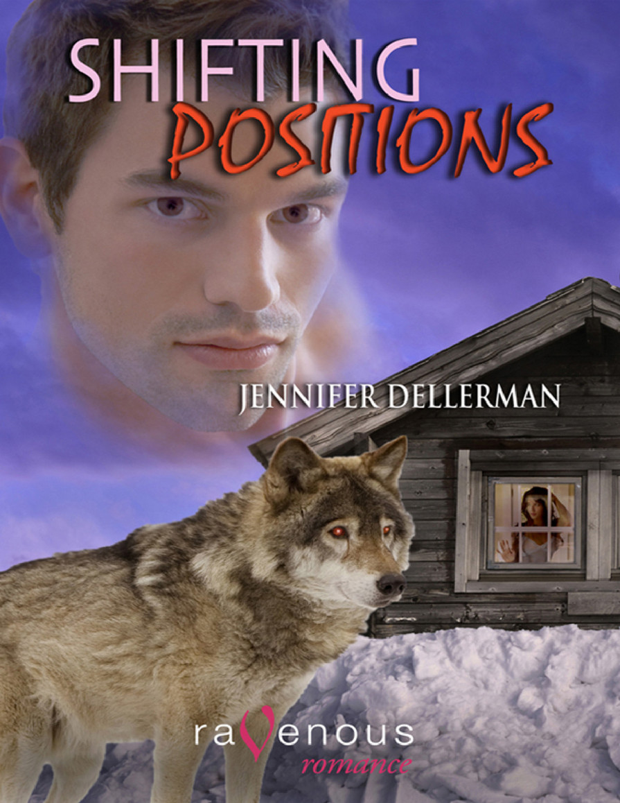 Shifting Positions by Jennifer Dellerman