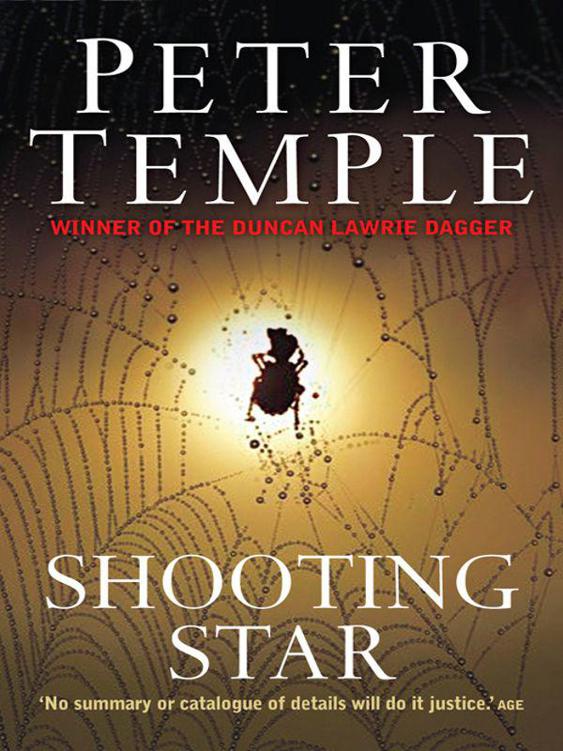 Shooting Star by Temple, Peter