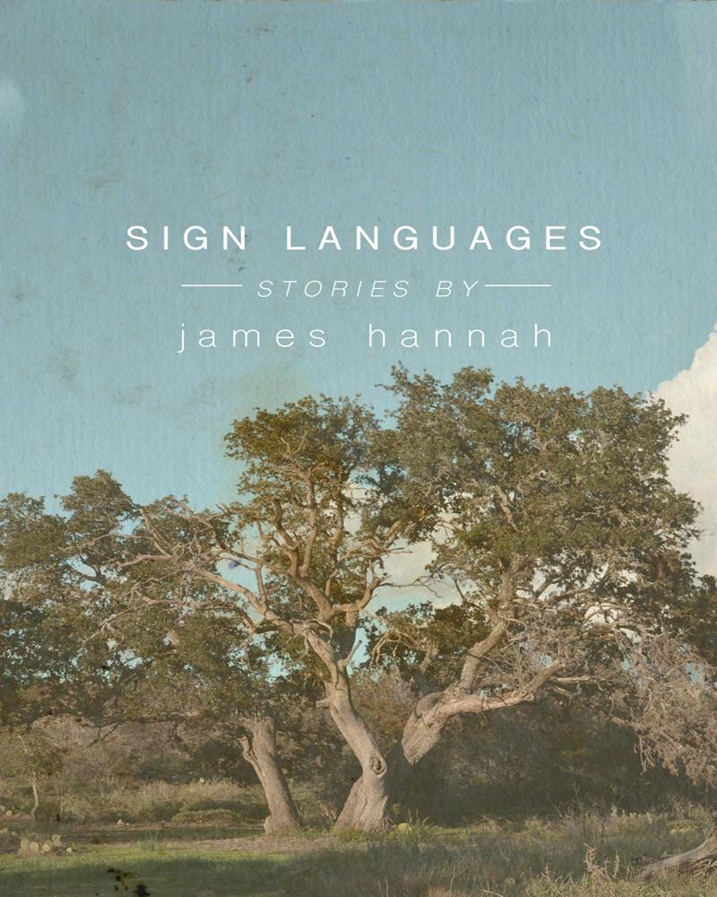 Sign Languages (1998) by James Hannah