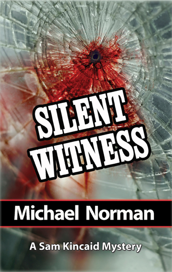 Silent Witness (2011) by Michael  Norman