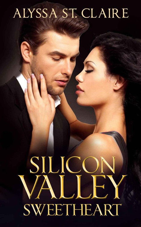 Silicon Valley Sweetheart by St. Claire, Alyssa