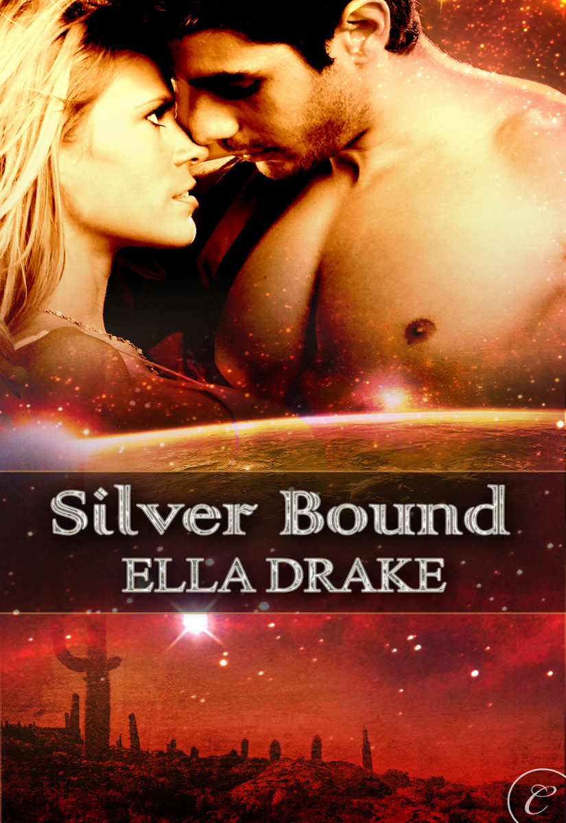 Silver Bound (2010) by Ella Drake