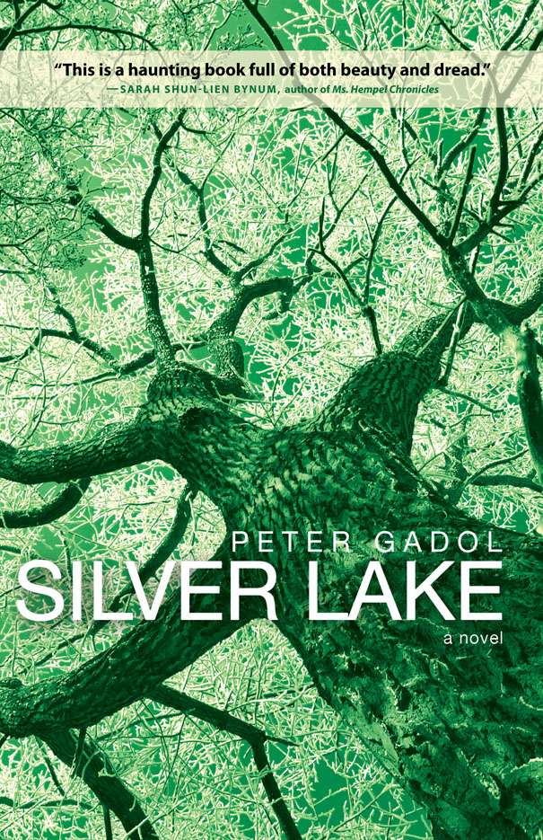 Silver Lake by Peter Gadol