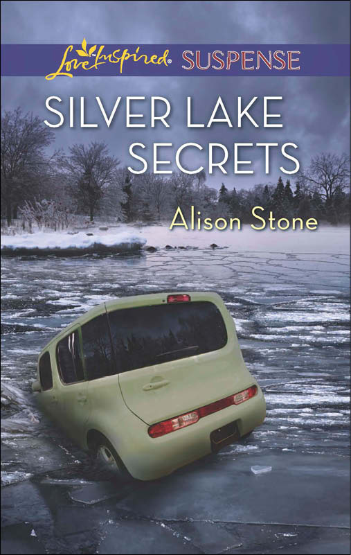 Silver Lake Secrets (2014) by Alison Stone