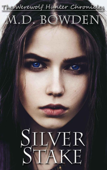 Silver Stake (The Werewolf Hunter Chronicles Book 1)