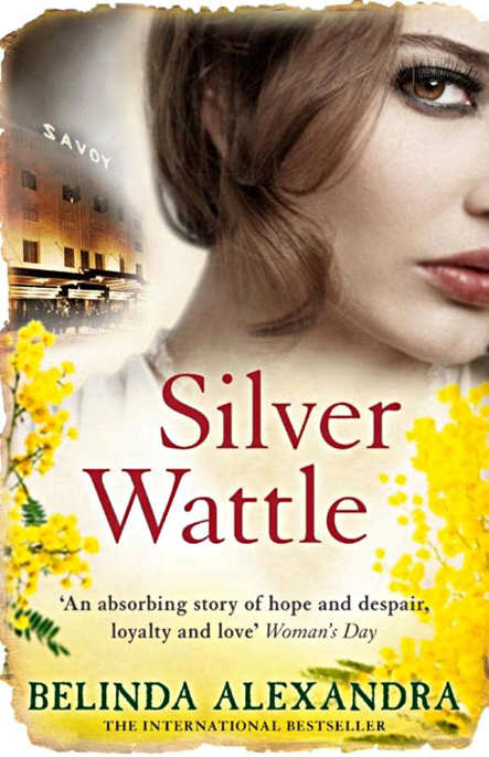 Silver Wattle