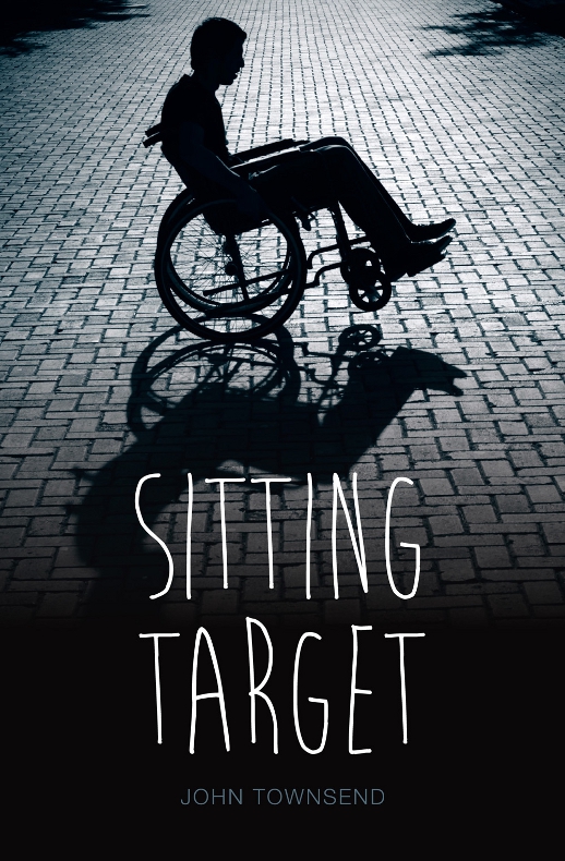 Sitting Target (2014) by John  Townsend