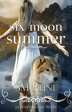 Six Moon Summer (2000) by S.M. Reine