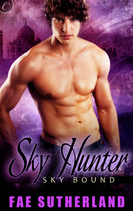 Sky Hunter (2013) by Fae Sutherland
