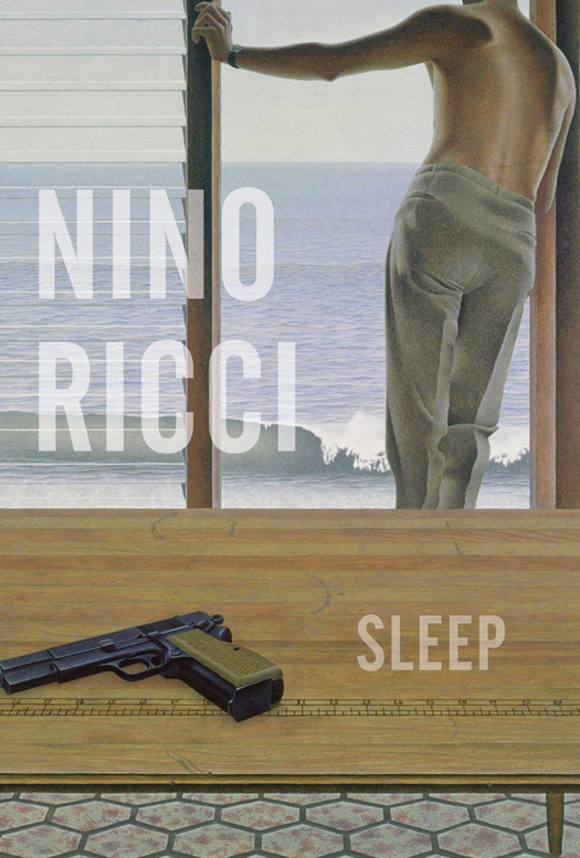 Sleep (2015) by Nino Ricci