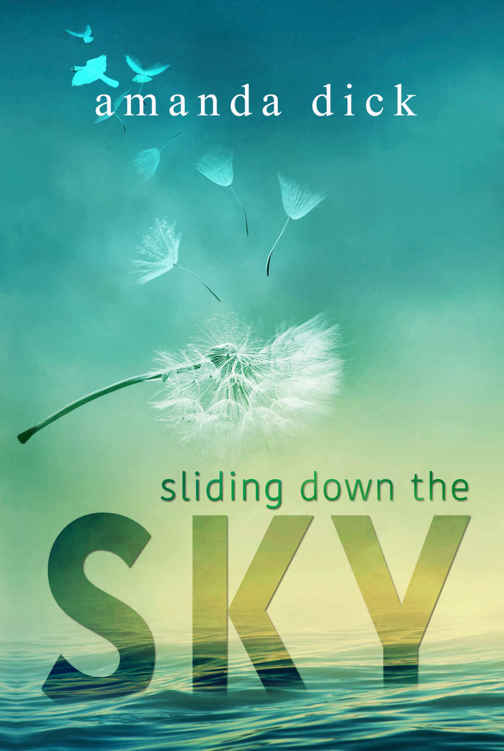 Sliding Down the Sky by Amanda Dick