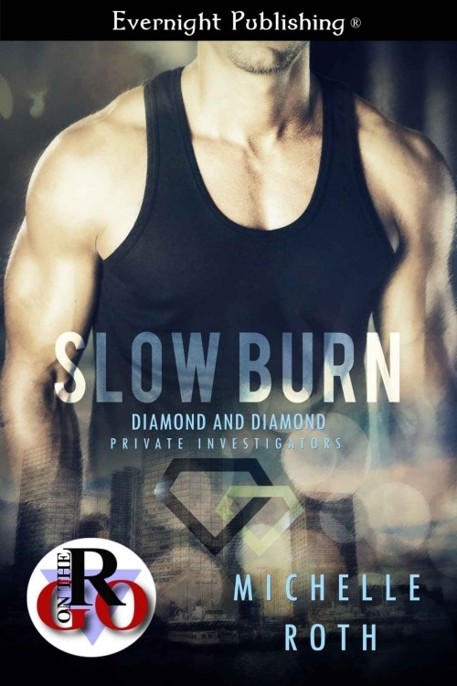 Slow Burn by Michelle Roth