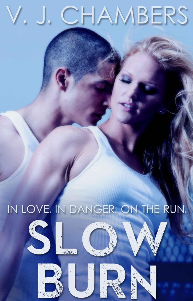 Slow Burn by V. J. Chambers