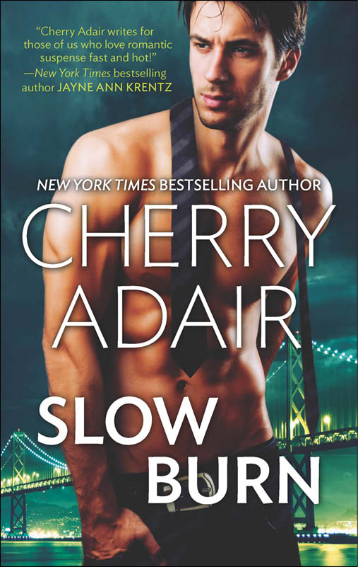 Slow Burn: Seducing Mr. Right\Take Me (2014) by Cherry Adair