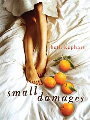 Small Damages (2012) by Beth Kephart