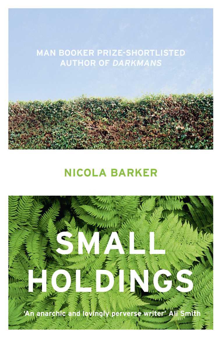 Small Holdings by Barker, Nicola