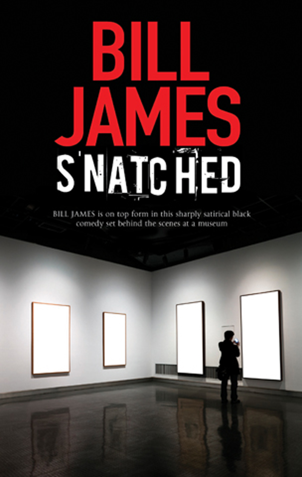 Snatched (2014) by Bill James