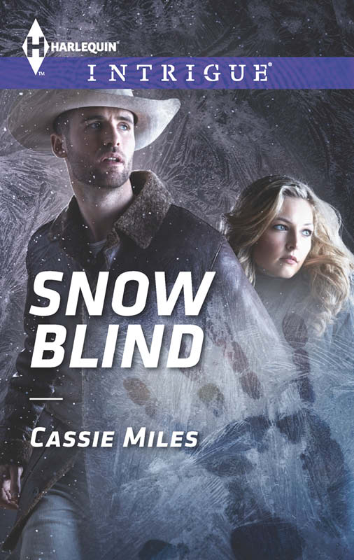 Snow Blind (2014) by Cassie Miles