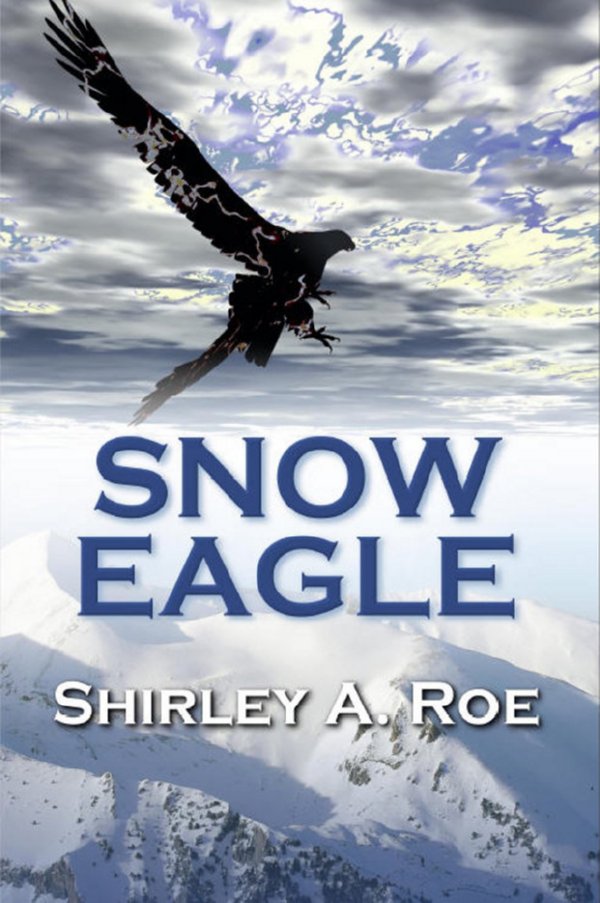 Snow Eagle by Shirley A. Roe