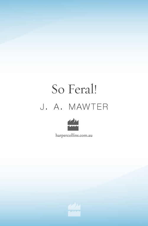 So Feral! (2002) by J A Mawter