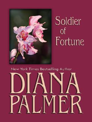 Soldier of Fortune (2006)