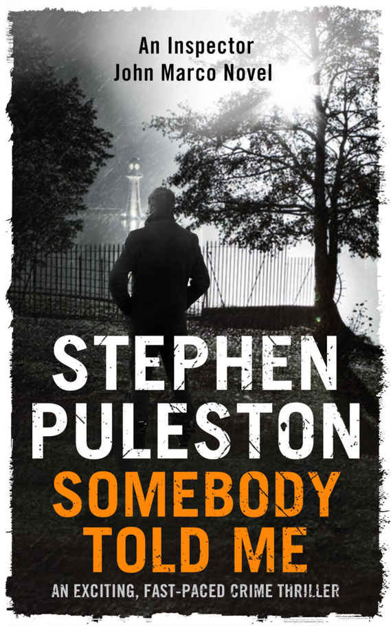 Somebody Told Me by Stephen Puleston