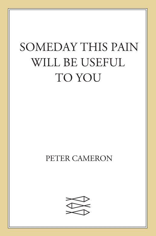 Someday This Pain Will Be Useful to You: A Novel