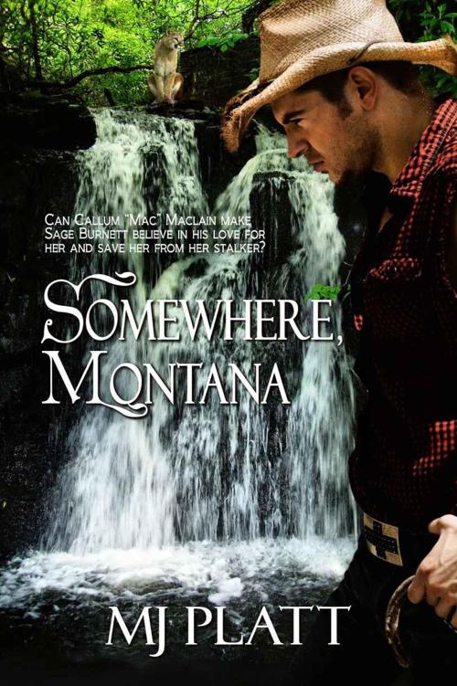 Somewhere Montana by Platt, MJ