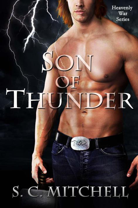 Son of Thunder (Heavenly War Series) by S.C. Mitchell