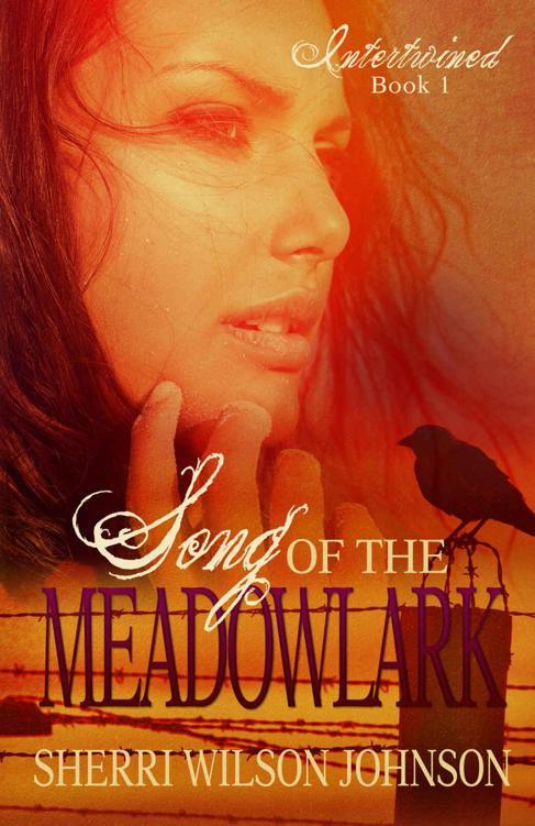 Song of the Meadowlark (Intertwined Book 1) by Johnson, Sherri Wilson