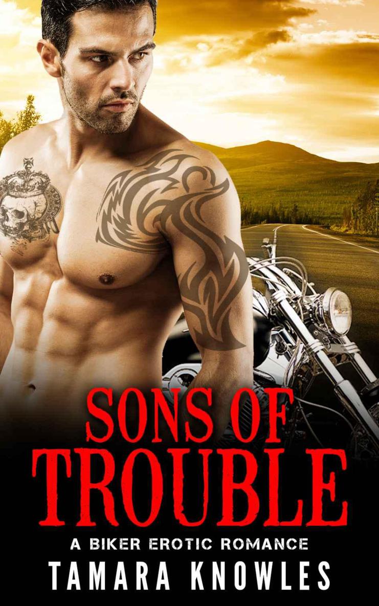 Sons of Trouble: A Biker Erotic Romance