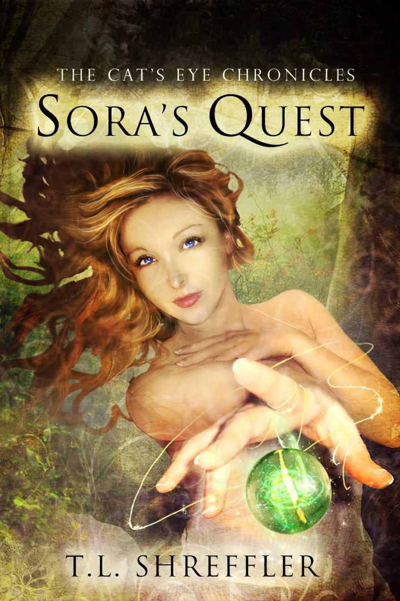 Sora's Quest by T. L. Shreffler